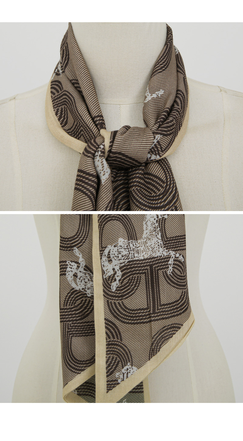 �������̹���