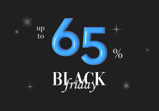 BLACK FRIDAY ~65%